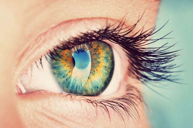 Claus Krell Optik - Ihre beste-Brille